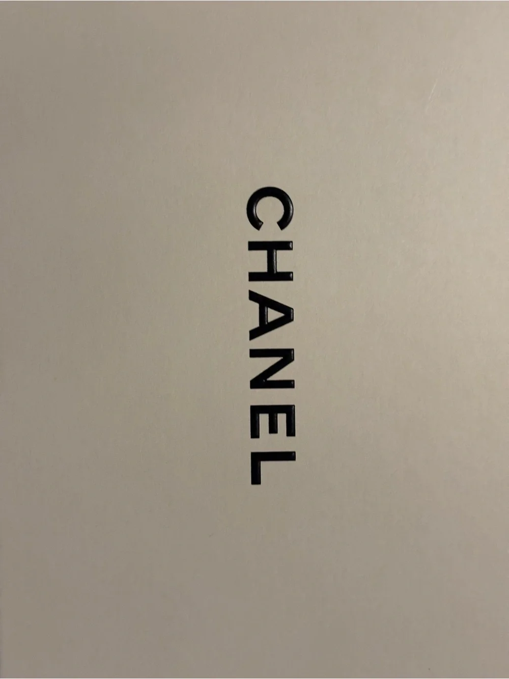 CHANEL beautiful pilot